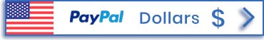Оплата через PayPal в долларах — Bircham International University
